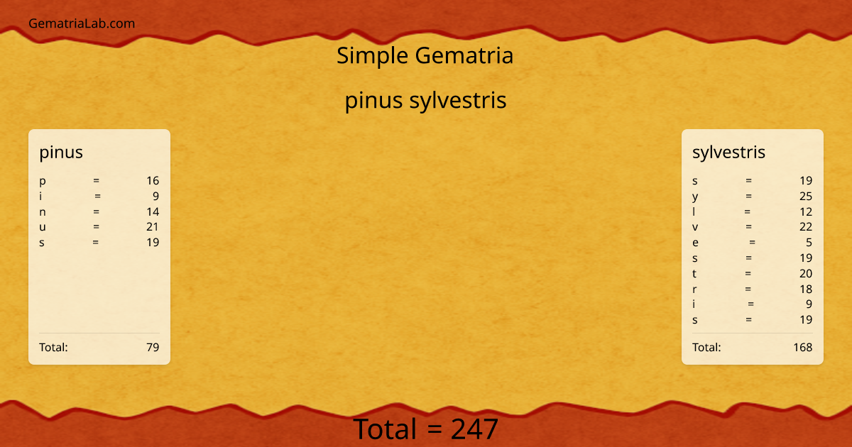 pinus sylvestris in simple Gematria